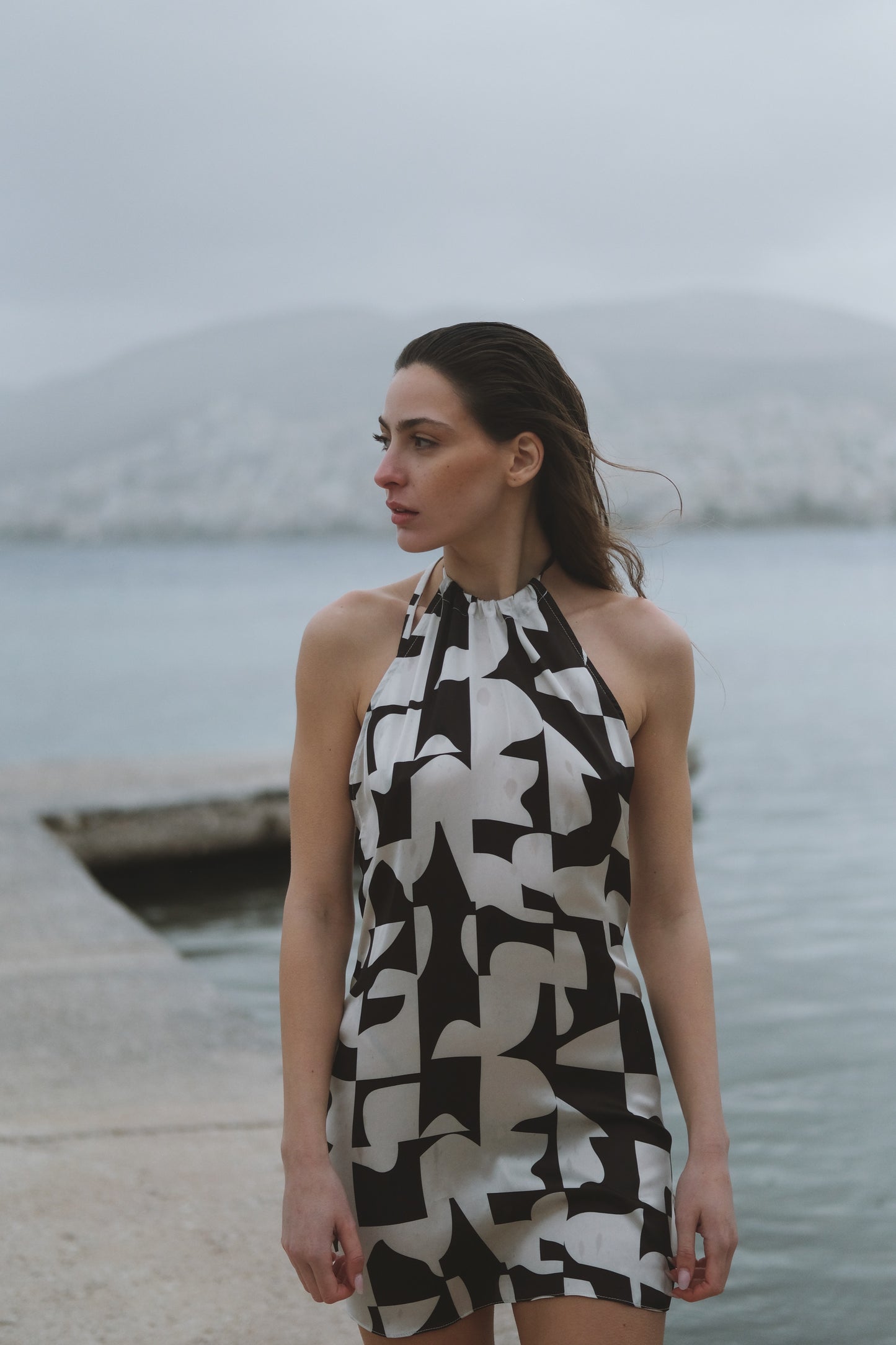 Vega Mini Dress