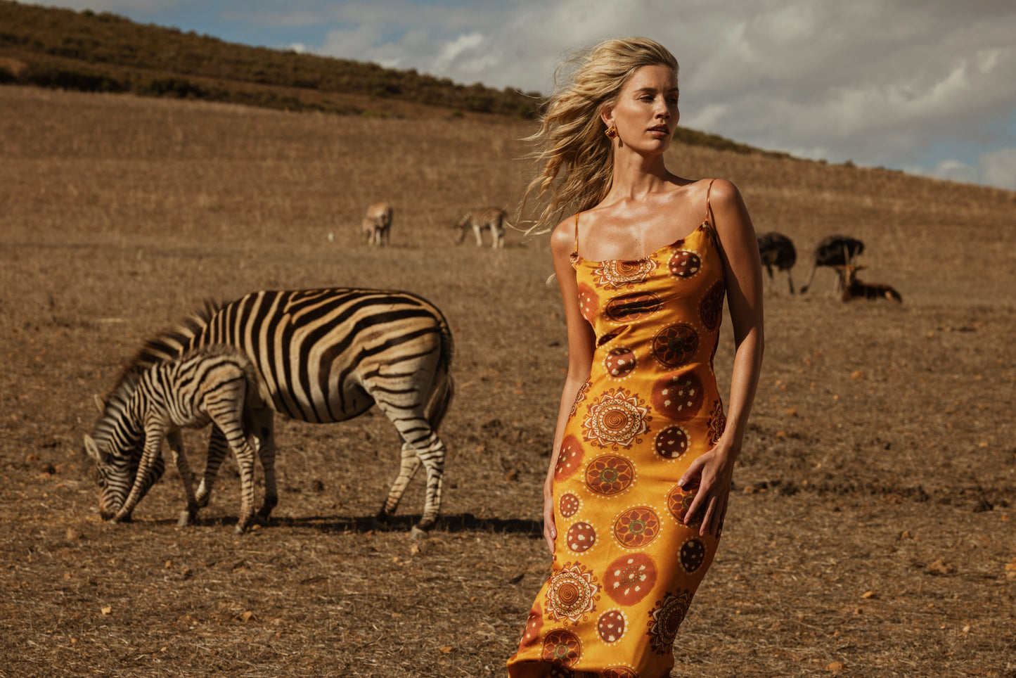 Dione Maxi Dress