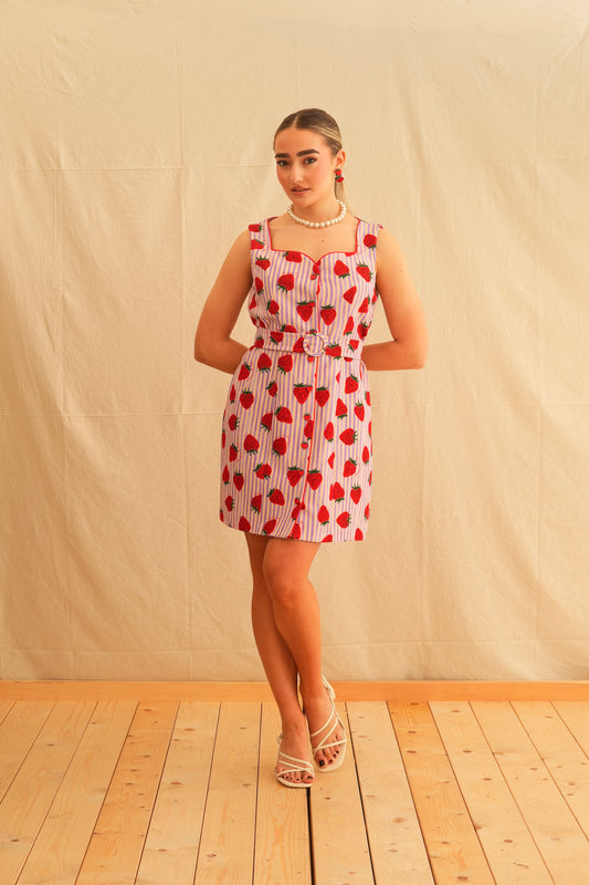 Sweet Love Vintage Mini Dress