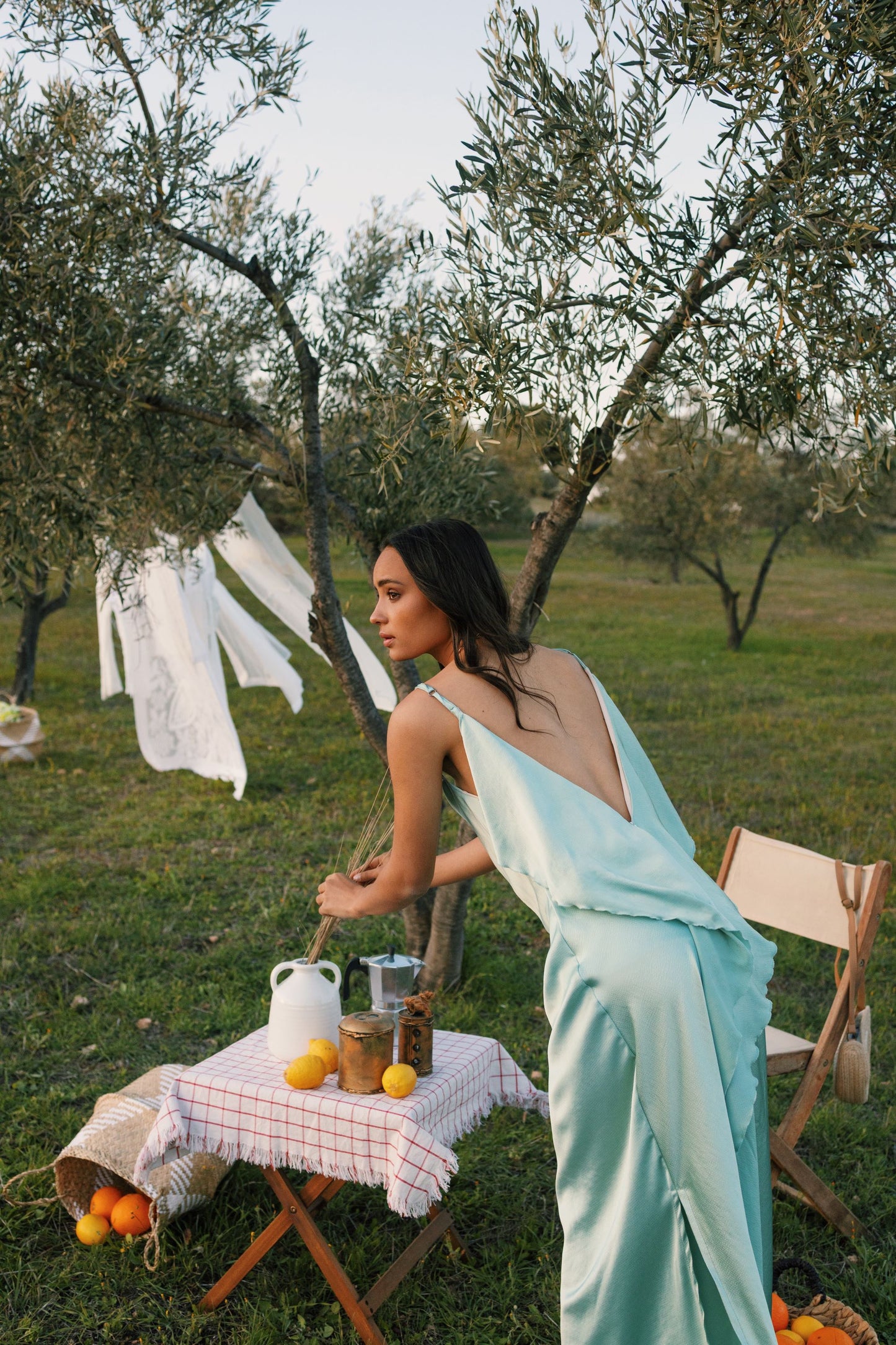 Oceana Volan Dress